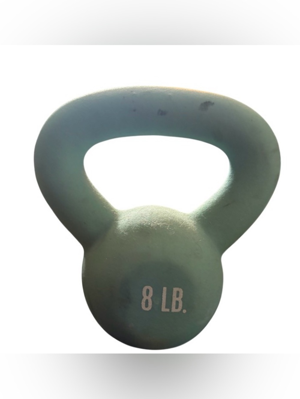 8 Lb. Light Blue Kettlebell
